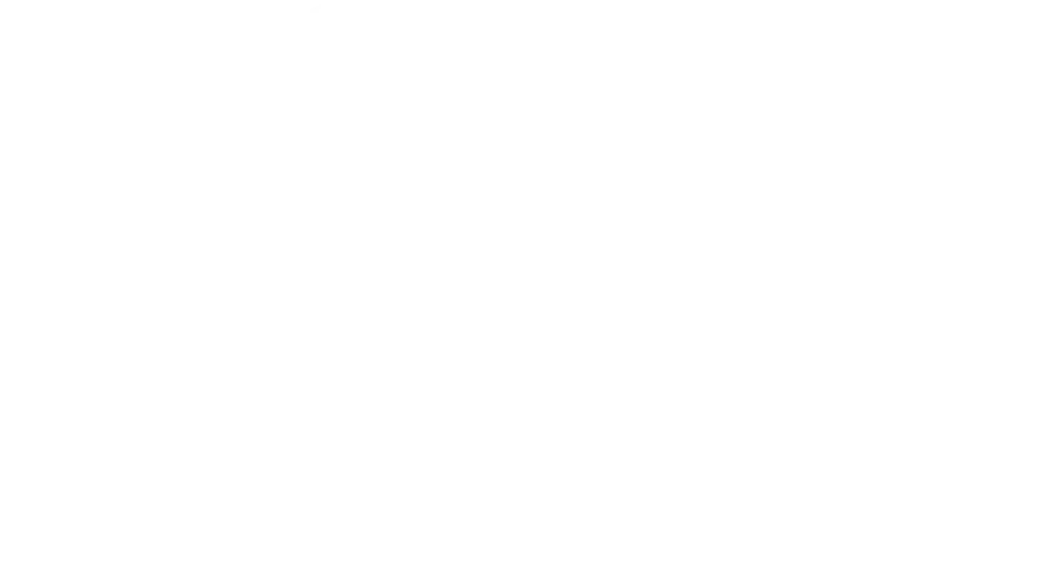 De-Solv-it logo